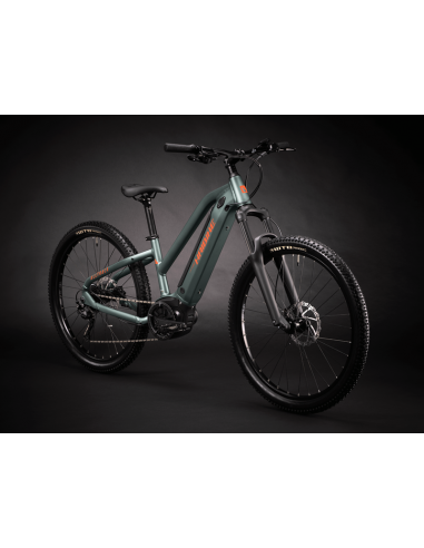 Haibike Alltrack Bosch 500W