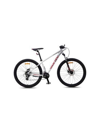 Bicicleta infantil Monty KX10